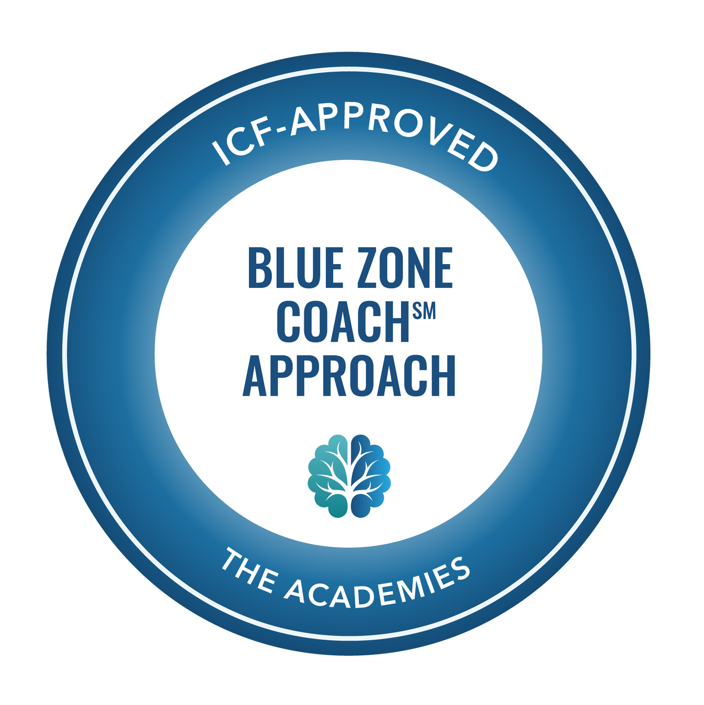 The Blue Zone Coach Approach - An introduction to neuroscience-based coaching skills